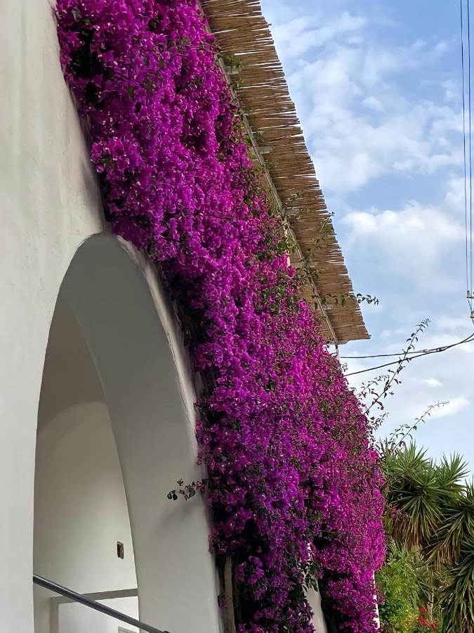 Roberhouse Tragara 37 Lägenhet Capri Exteriör bild
